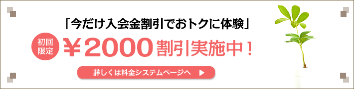 初回限定割引